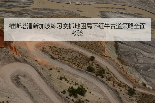 维斯塔潘新加坡练习赛抓地困局下红牛赛道策略全面考验